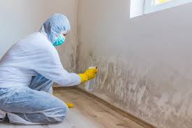 Why You Should Choose Our Mold Remediation Services in Eldorado, TX